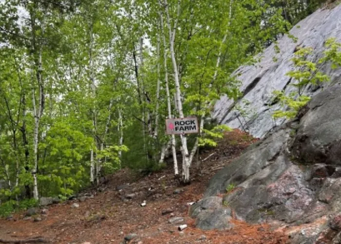 Princess sodalite trail to rock shop